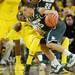 Michigan junior Tim Hardaway Jr. draws an offensive foul against Michigan State freshman Denzel Valentine against Michigan State at Crisler Center on Sunday, March 3, 2013. Melanie Maxwell I AnnArbor.com